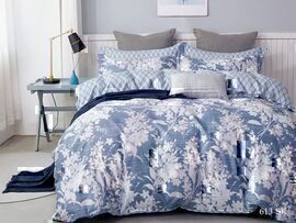 КПБ 2сп сатин в коробке (нав 70*70) Satin de Luxe SK Клео <613-SK>