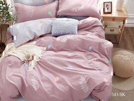 КПБ 2сп сатин в коробке (нав 70*70) Satin de Luxe SK Клео <543-SK>