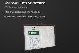 Одеяло лен тк поплин Реноме