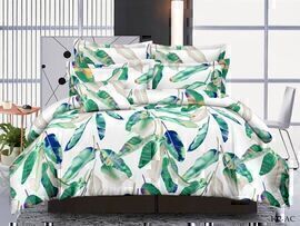 КПБ евро полисатин Art Color AC (нав. 50*70-2шт) Клео <AC-012>