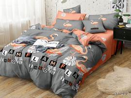 КПБ 2сп поплин Pure Cotton PC/CL Клео <PC/CL-310>