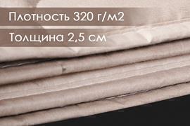 Одеяло верблюжья шерсть тик Реноме